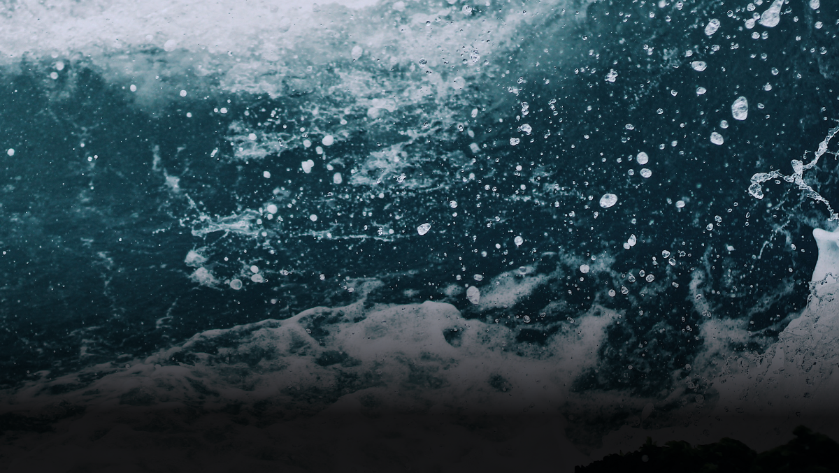 Thumb MuMi Oceans | Foto: k/d media