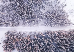 Schnee | Foto: Foto: pexels-invisiblepower-1427513